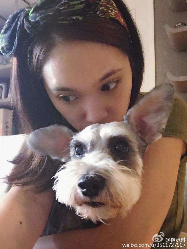 杨丞琳与狗狗