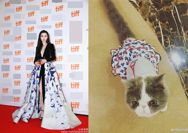 范冰冰礼服撞衫自家猫咪 