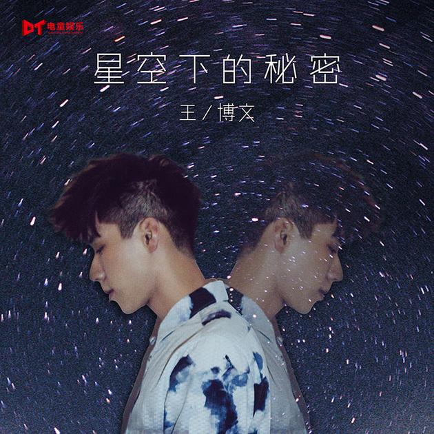 《星空下的秘密》封面