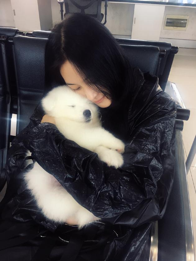 张馨予和狗狗