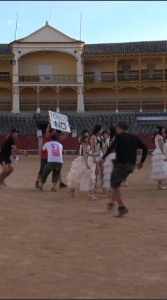 反斗牛人士举标语闯入