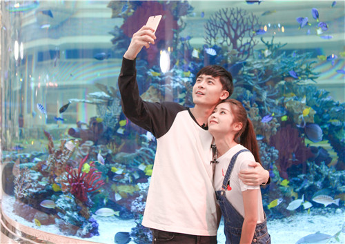 付辛博、颖儿澳门约会