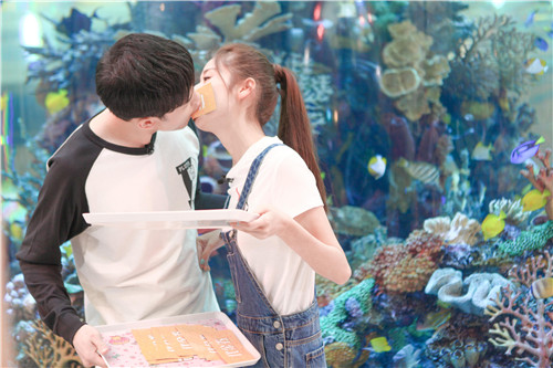 付辛博颖儿澳门度蜜月