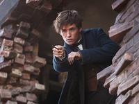 �����涯�������л��л�أ���û���ң�