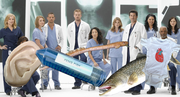 《实习医生格蕾》剧照及道具。