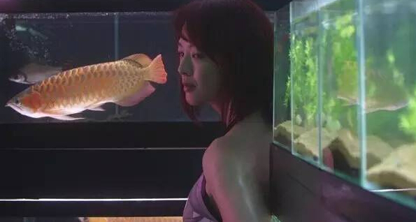 鬼才园子温:人生和电影一样充满戏剧性|神乐坂