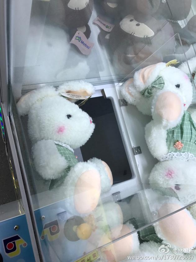 林更新玩抓娃娃机遇窘境