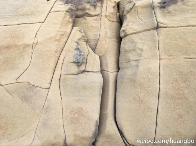 黄渤摄影拍沙石树泥别有洞天