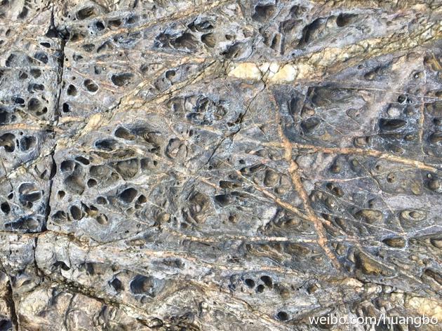 黄渤摄影拍沙石树泥别有洞天