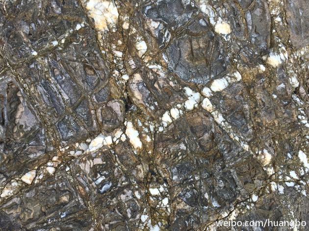 黄渤摄影拍沙石树泥别有洞天