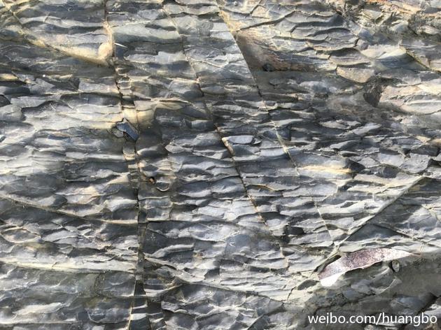 黄渤摄影拍沙石树泥别有洞天