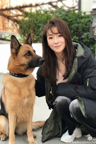 训犬师收入_犬语者训犬师培训用技术改变命运让成功唾手可得