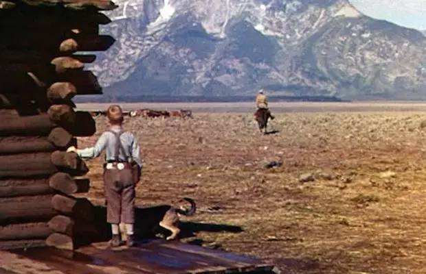 《原野奇侠》中，小男孩Joey呐喊：“Shane，Come back！”