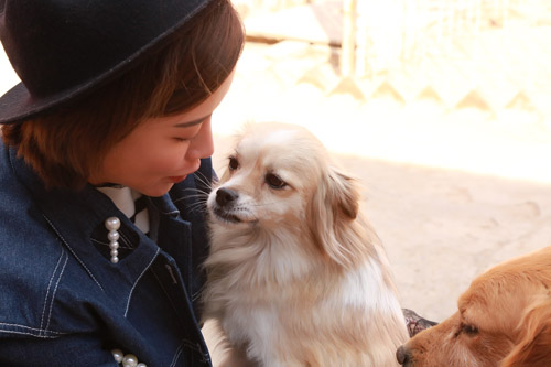 瑛子探望流浪动物