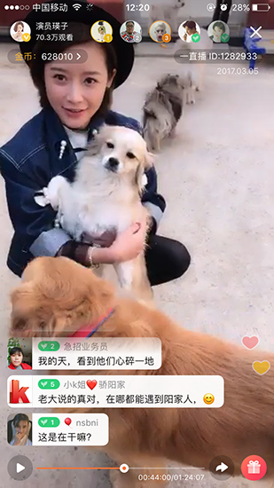 瑛子直播呼吁动物领养