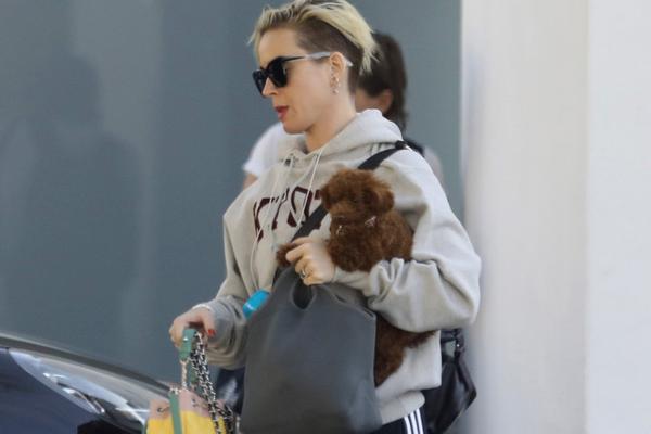 世界杯决赛预测-乐鱼体育(LEYU)中国官网-app登录入口