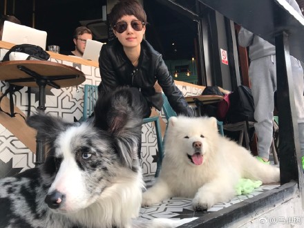 马伊琍遛狗