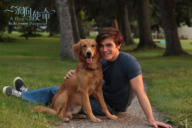 《一条狗的使命》使命版特辑 吸引情侣档助力