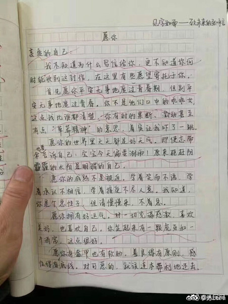 高晓松点评初中校友作文