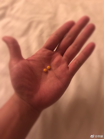 陈赫称晚餐只吃了两粒b2