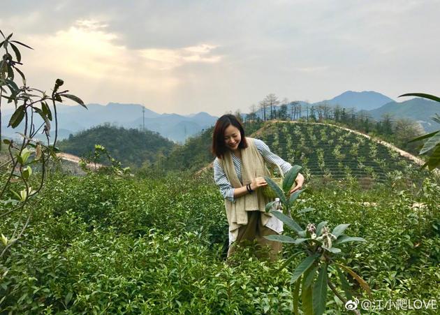 江一燕江南采茶清新有气质
