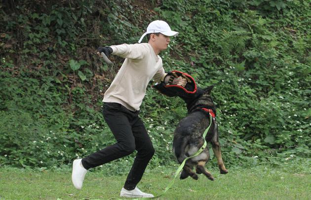 成毅不惧危险亲身体