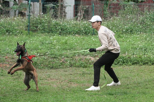 成毅化身警犬训导员