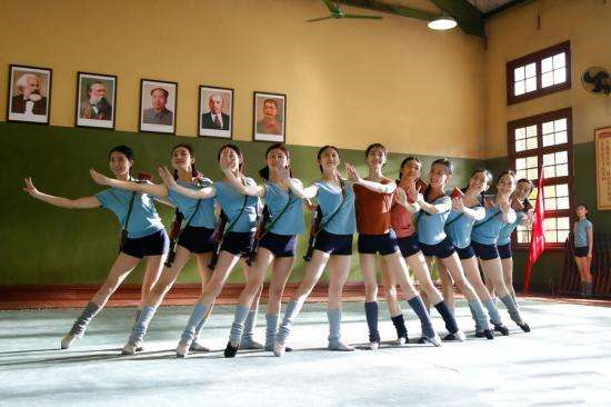 李彦漫《芳华》