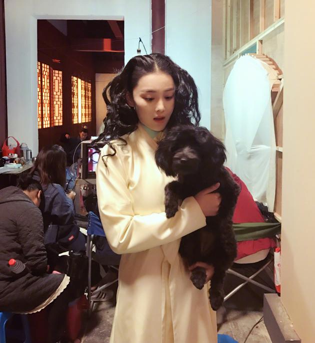 张馨予抱狗