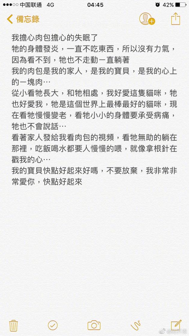 陈乔恩发文担心肉包