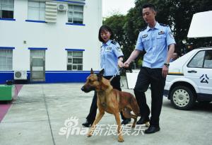 杨蓉二次演警察:拍戏间隙会给狗狗按摩|警犬来