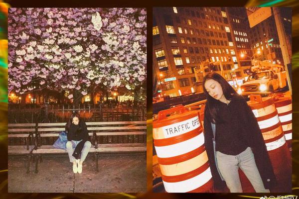 迪纳摩魔术-乐鱼app(leyu)官方网站-乐鱼官网