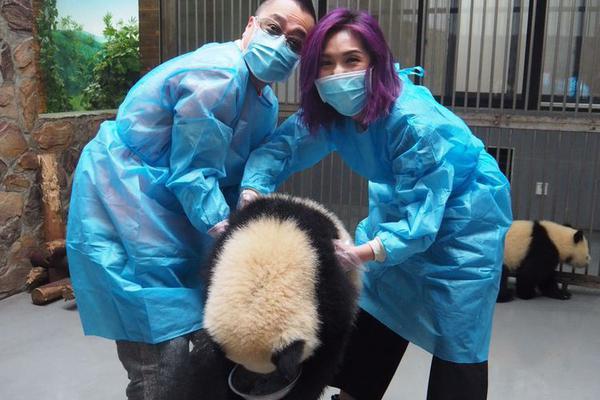 王仪涵比赛视频-乐鱼app(leyu)官方网站-乐鱼官网