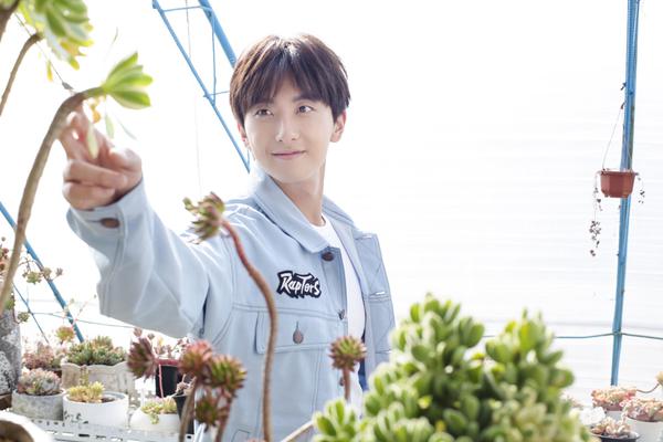 阿森纳 那不勒斯