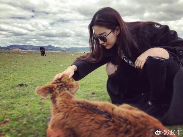 刘亦菲自称"小牛犊和傻大姐"