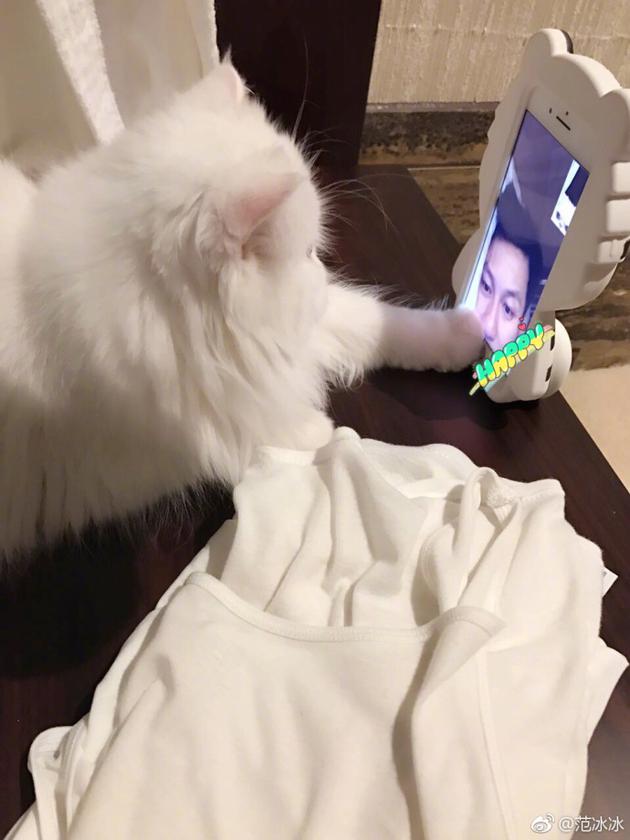 范冰冰爱猫和李晨视频