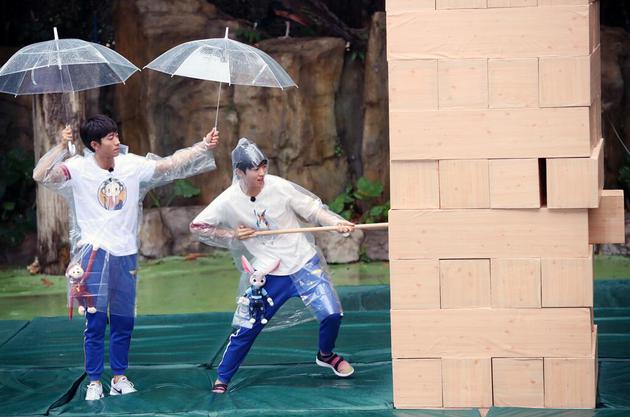 张一山为王俊凯撑伞