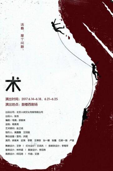 《术》海报
