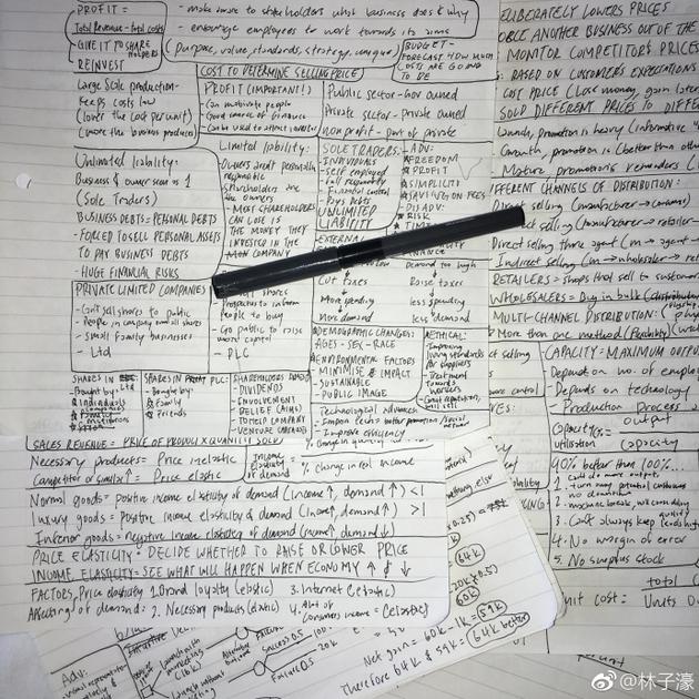 林子濠晒超复杂英文笔记 林依轮:怎么全看不懂