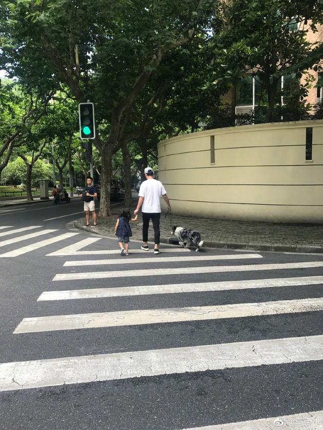 马伊琍女儿和文┞仿遛狗