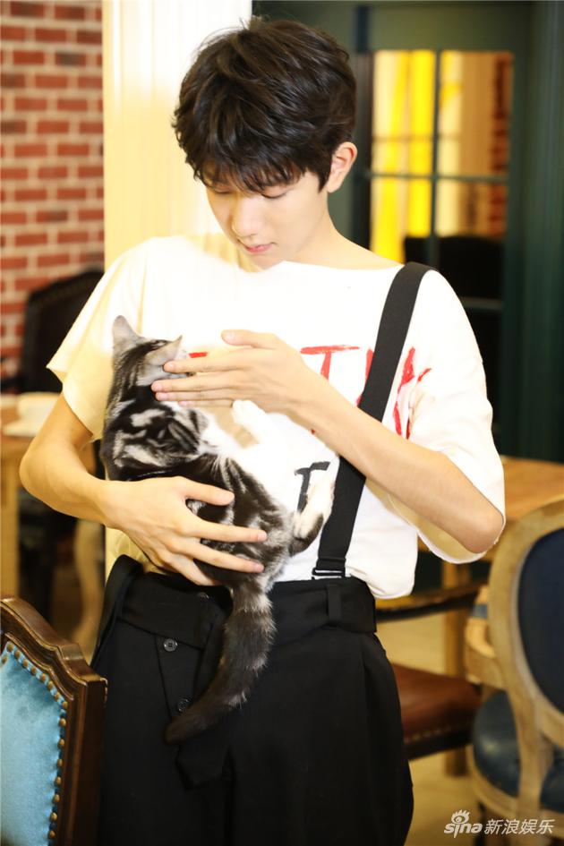王源与猫咪