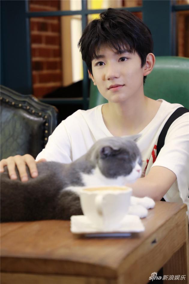 王源和小猫咪