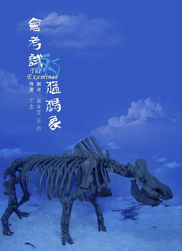 南派影业《会考试的猛犸象》亮相上海电影节