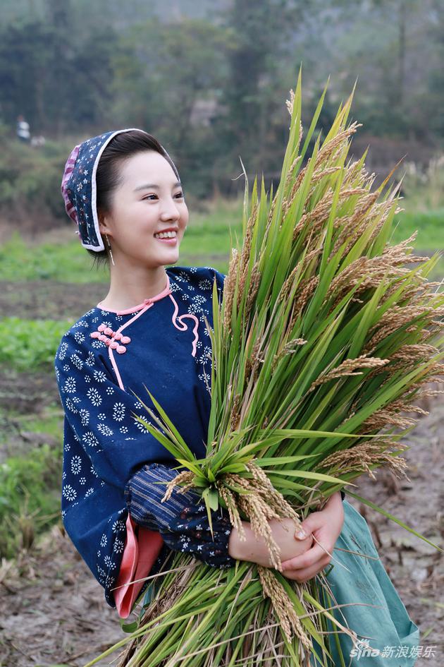 冯瑞睿和管家收麦子酿酒