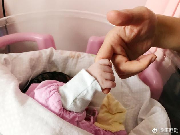 王励勤荣升奶爸