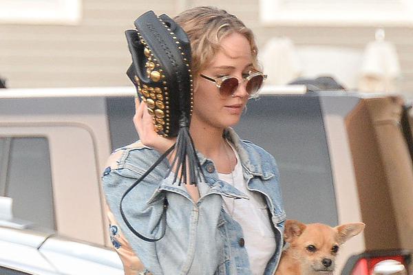 河文档-乐鱼app(leyu)官方网站-乐鱼官网