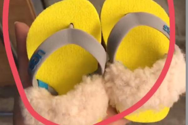 内斯塔和托蒂-乐鱼app(leyu)官方网站-乐鱼官网