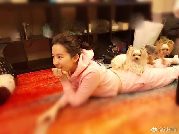 刘亦菲与狗狗亲密合照