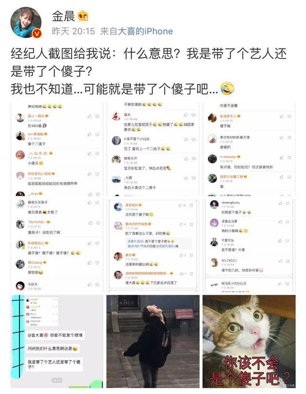 金晨经纪人吐槽带了个傻艺人 网友:摔马后遗症