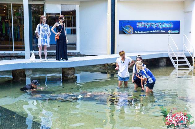 江疏影娜扎温情回顾《花少3》:误会让人靠得更近-东北网娱乐-东北网